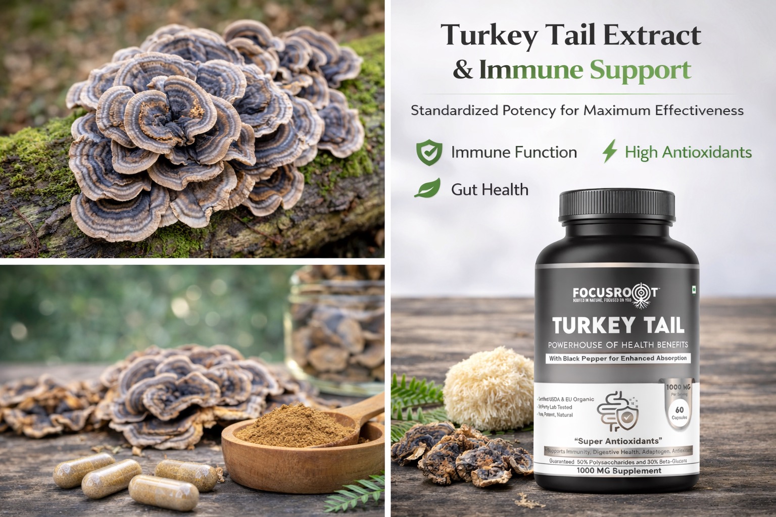 Best Natural Immunity Boosters You Should Take Daily | Focusroot